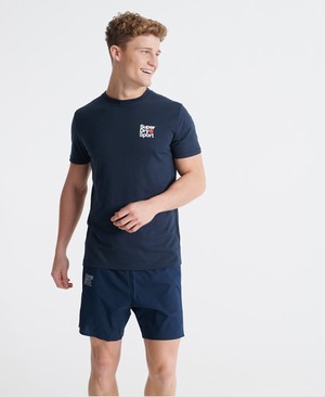 Superdry Core Sport Small Logo Férfi Pólók Szürke | BNIPM8931